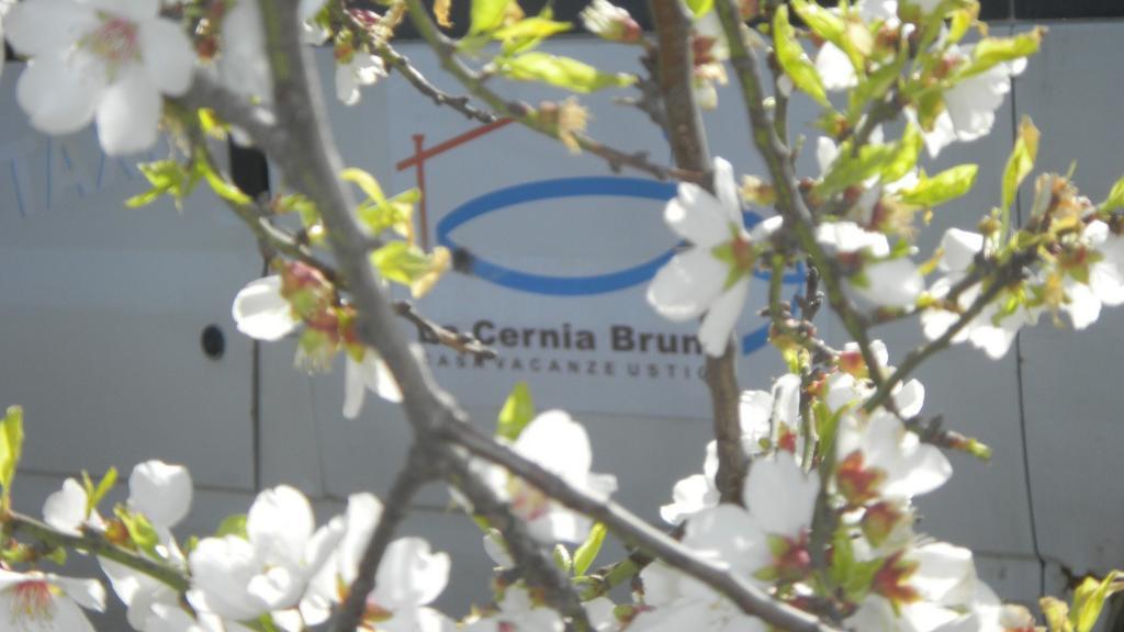 Case Vacanze La Cernia Bruna Isola di Ustica Eksteriør bilde